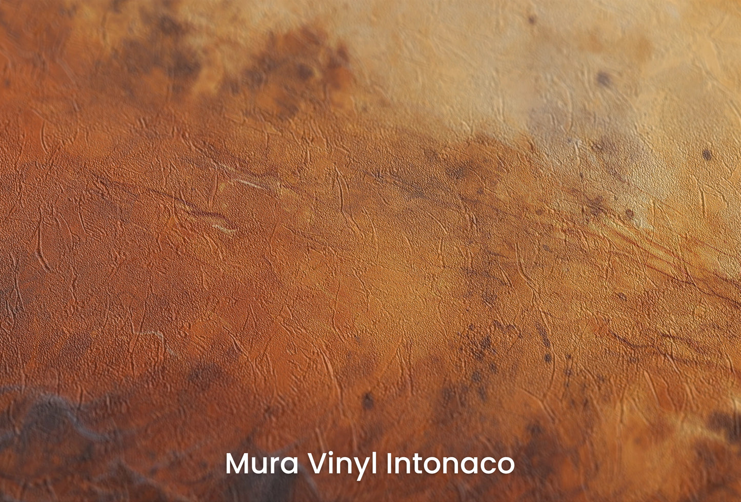 Zbliżenie na artystyczną fototapetę o nazwie Martian Winds na podłożu Mura Vinyl Intonaco - struktura tartego tynku.