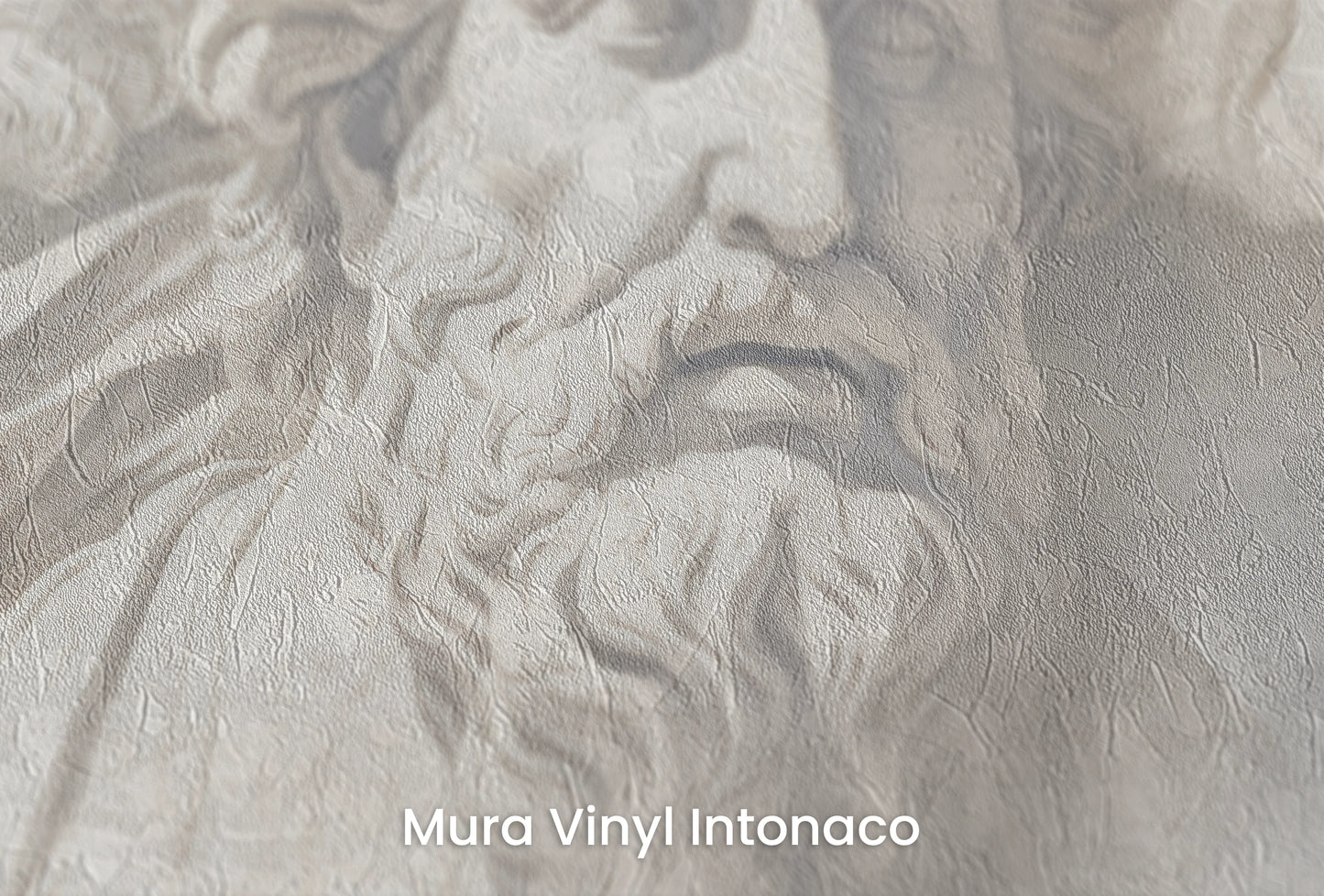 Zbliżenie na artystyczną fototapetę o nazwie Meditation of Heraclitus na podłożu Mura Vinyl Intonaco - struktura tartego tynku.