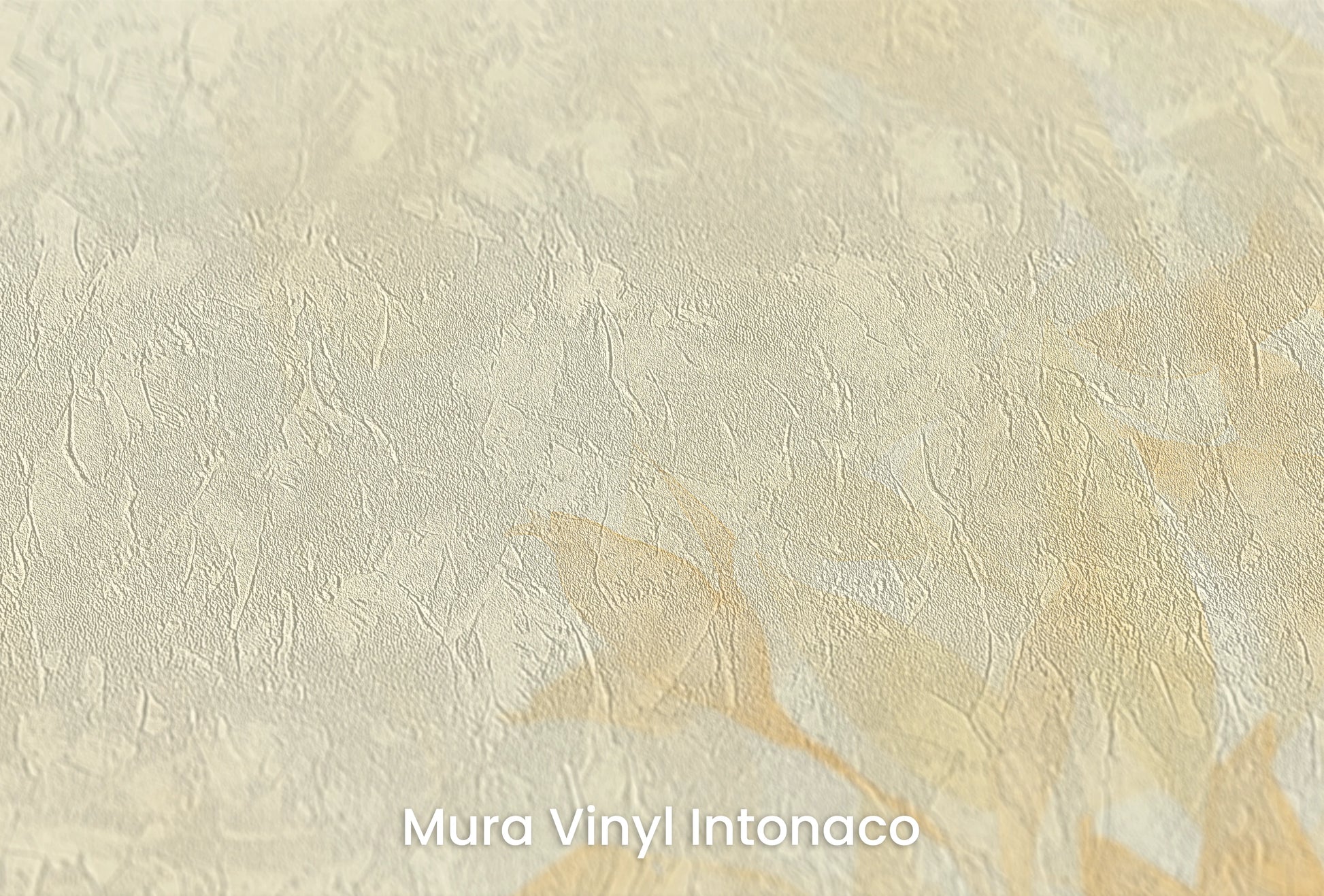 Zbliżenie na artystyczną fototapetę o nazwie Serene Light na podłożu Mura Vinyl Intonaco - struktura tartego tynku.