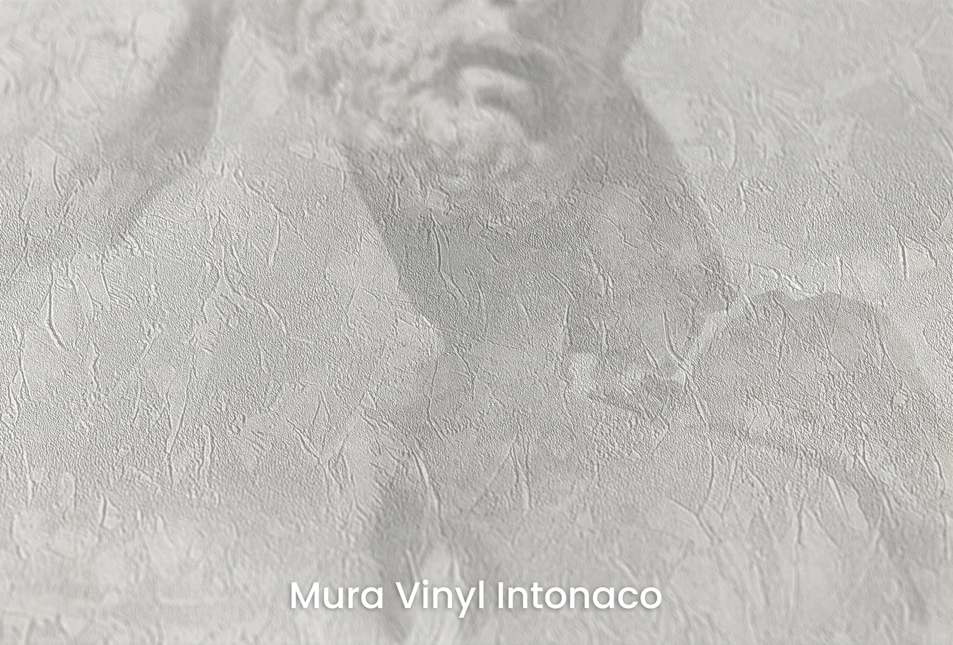 Zbliżenie na artystyczną fototapetę o nazwie Apollo's Gaze na podłożu Mura Vinyl Intonaco - struktura tartego tynku.