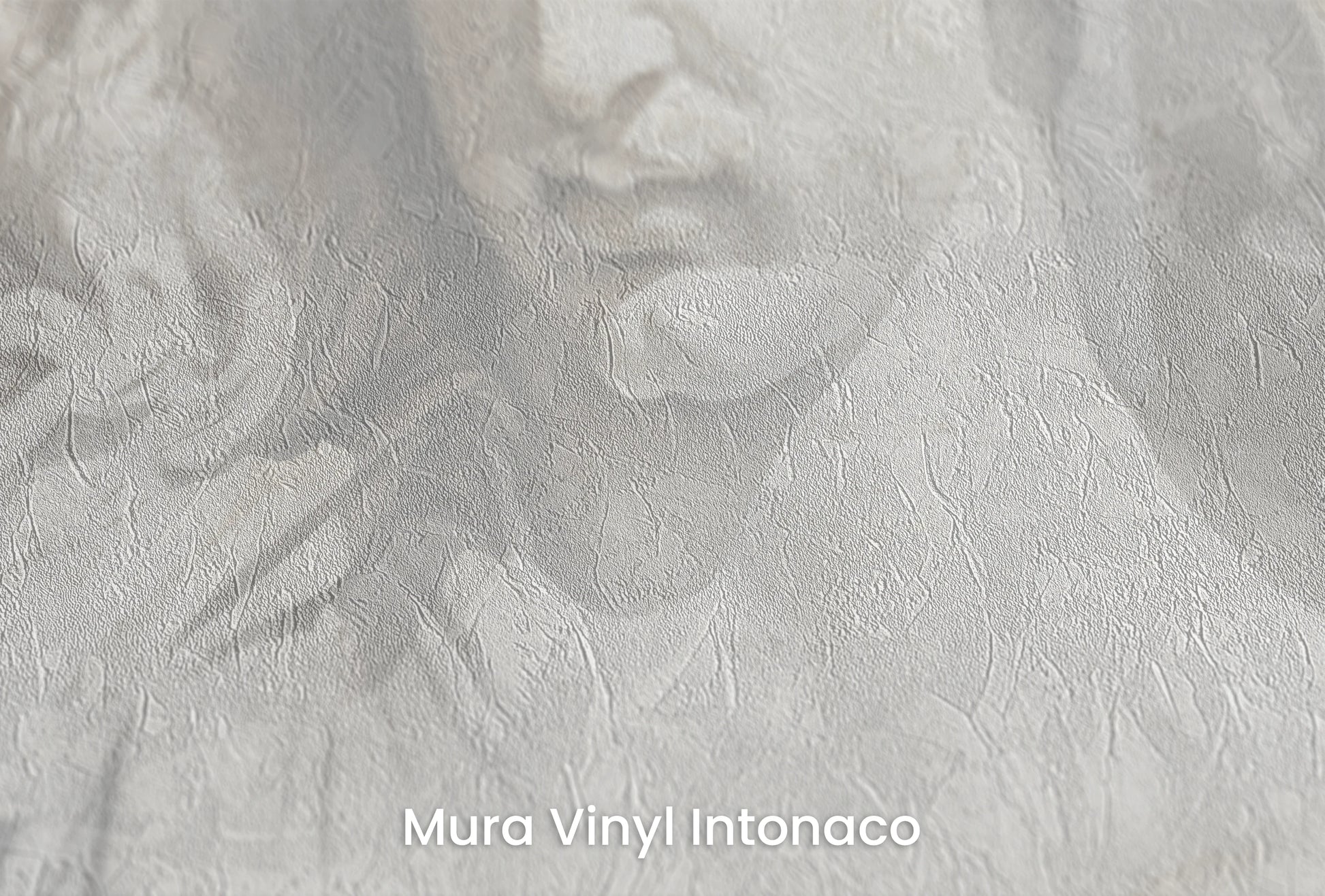 Zbliżenie na artystyczną fototapetę o nazwie The Elysian Trio na podłożu Mura Vinyl Intonaco - struktura tartego tynku.