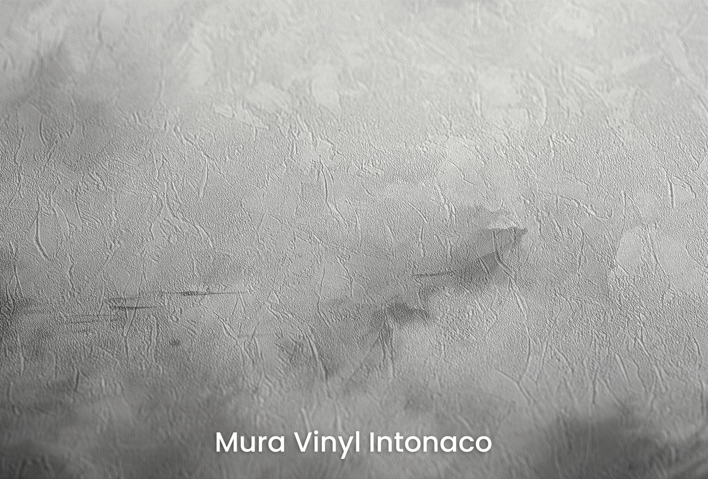 Zbliżenie na artystyczną fototapetę o nazwie Monochrome Whispers na podłożu Mura Vinyl Intonaco - struktura tartego tynku.