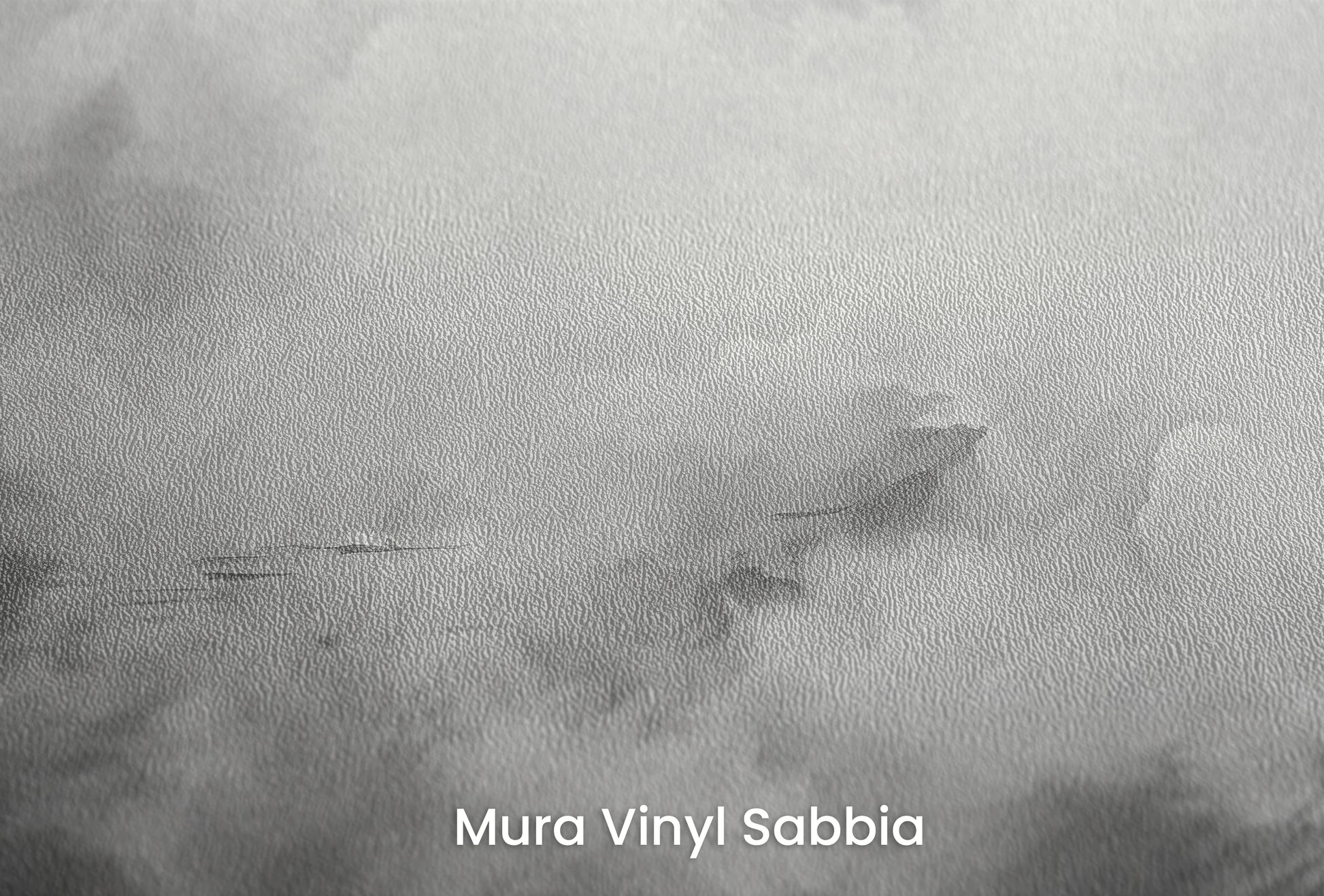 Zbliżenie na artystyczną fototapetę o nazwie Monochrome Whispers na podłożu Mura Vinyl Sabbia struktura grubego ziarna piasku.