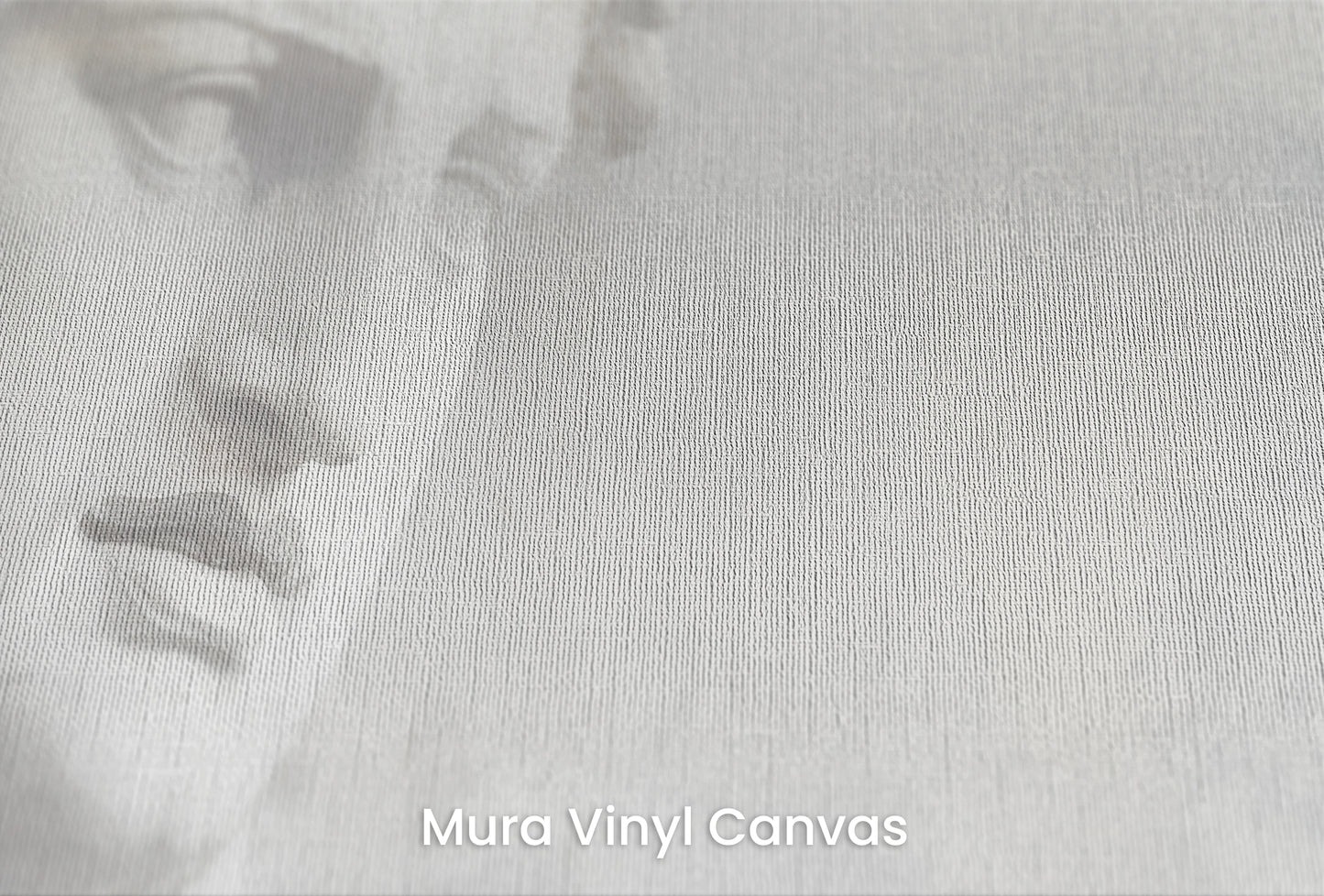 Zbliżenie na artystyczną fototapetę o nazwie Athena's Wisdom na podłożu Mura Vinyl Canvas - faktura naturalnego płótna.