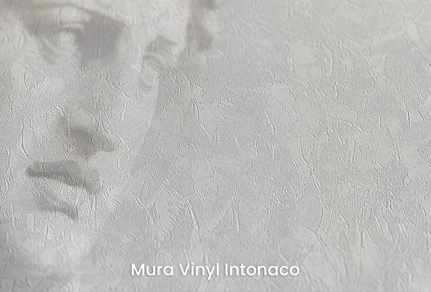 Zbliżenie na artystyczną fototapetę o nazwie Athena's Wisdom na podłożu Mura Vinyl Intonaco - struktura tartego tynku.