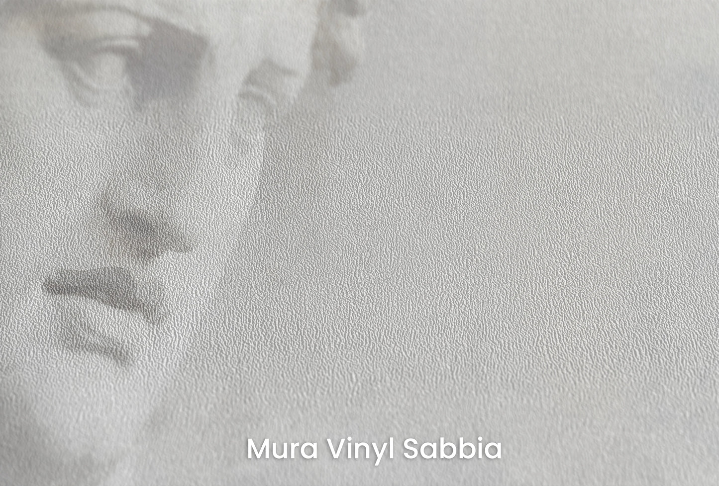 Zbliżenie na artystyczną fototapetę o nazwie Athena's Wisdom na podłożu Mura Vinyl Sabbia struktura grubego ziarna piasku.