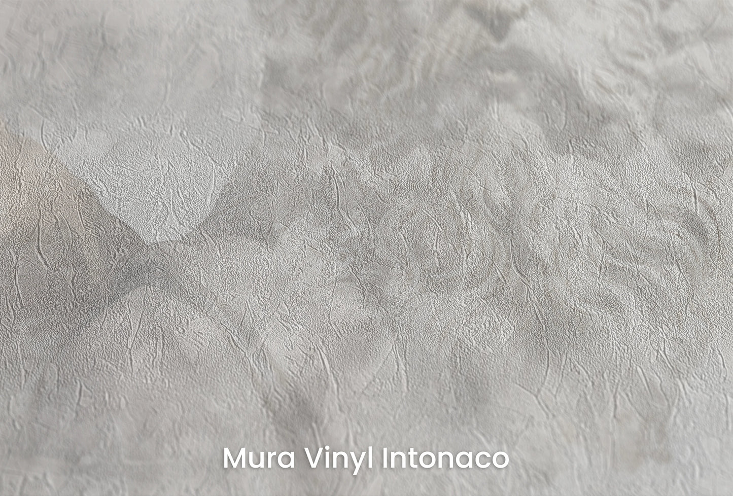 Zbliżenie na artystyczną fototapetę o nazwie Zeus's Introspection na podłożu Mura Vinyl Intonaco - struktura tartego tynku.