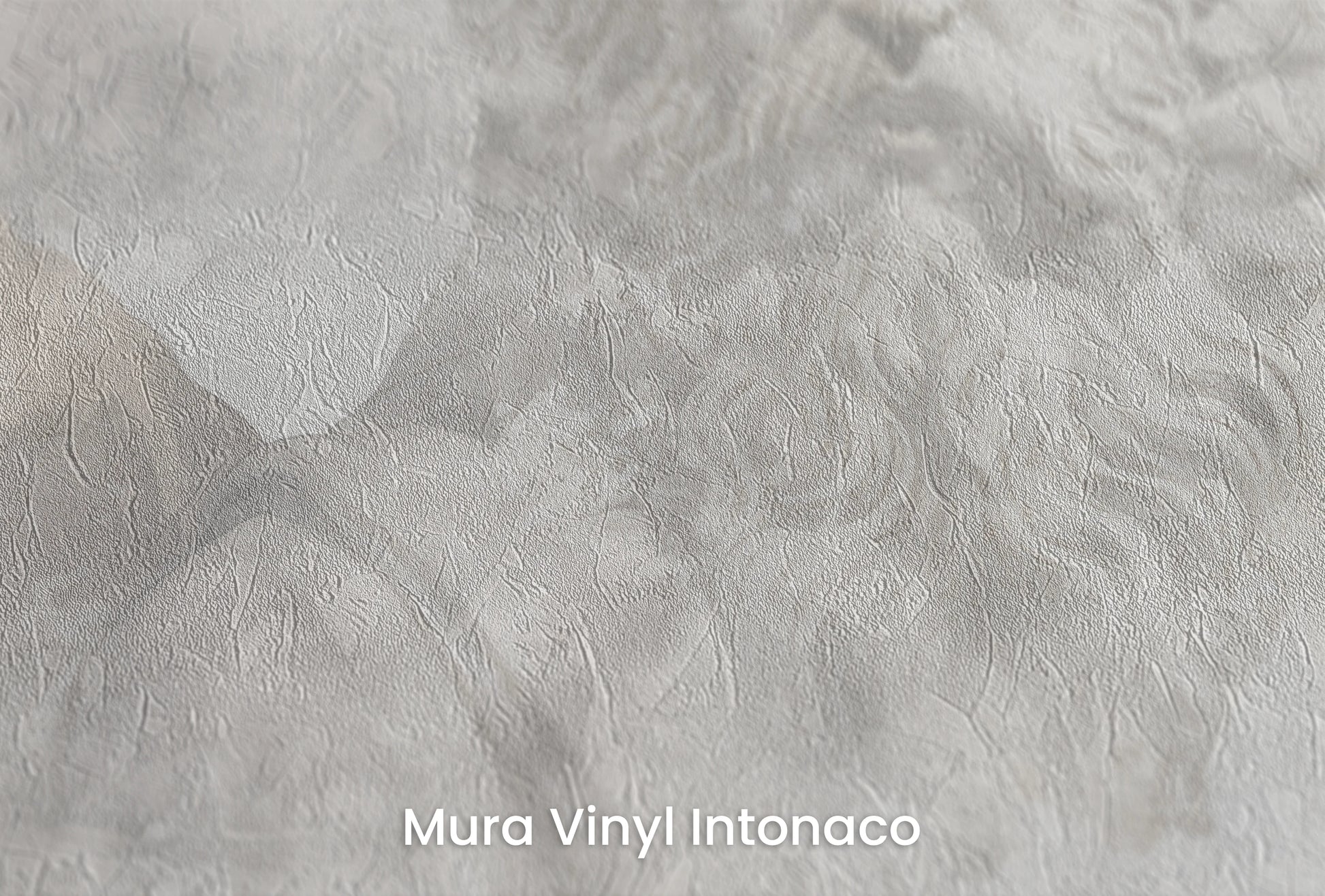 Zbliżenie na artystyczną fototapetę o nazwie Zeus's Introspection na podłożu Mura Vinyl Intonaco - struktura tartego tynku.
