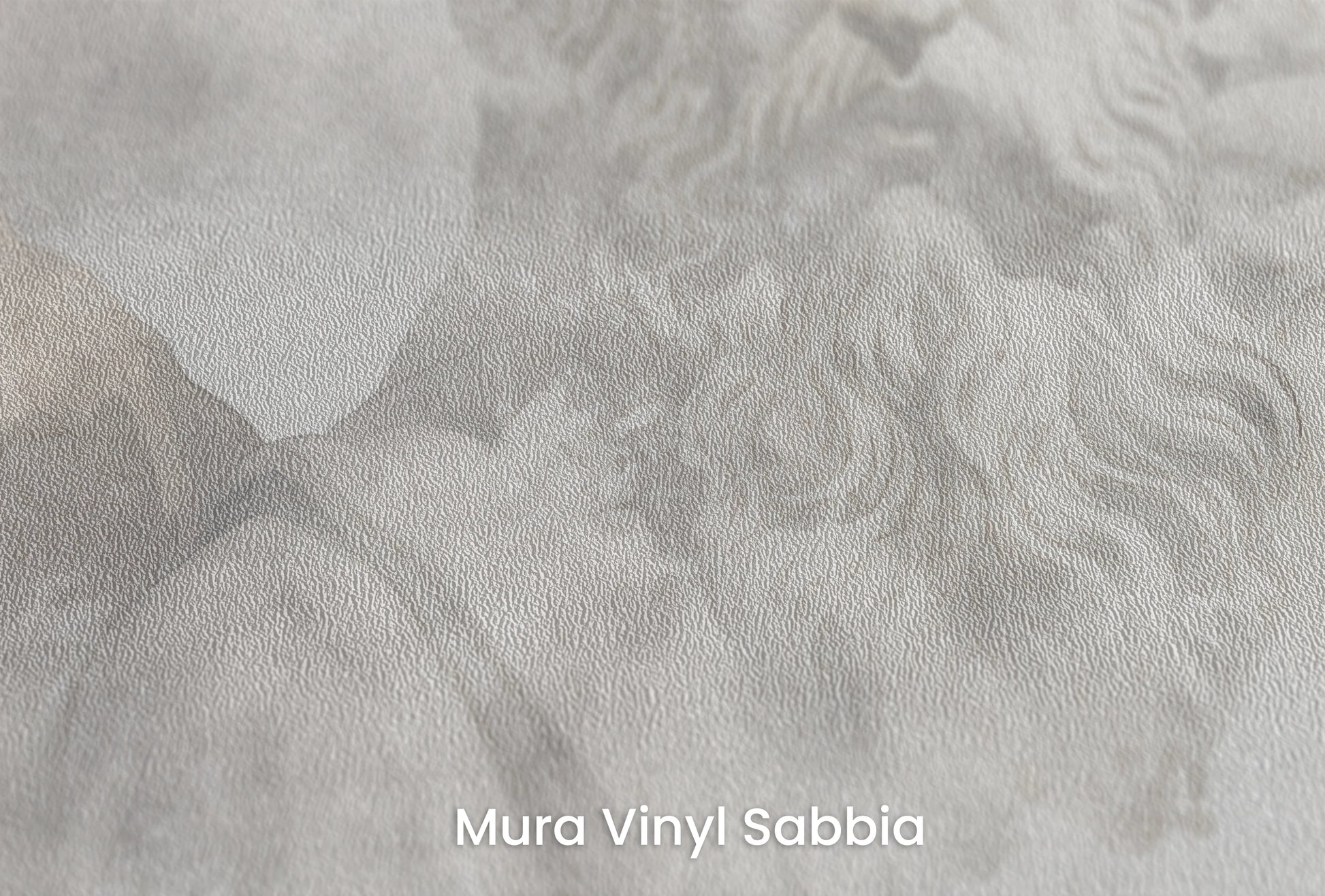 Zbliżenie na artystyczną fototapetę o nazwie Zeus's Introspection na podłożu Mura Vinyl Sabbia struktura grubego ziarna piasku.