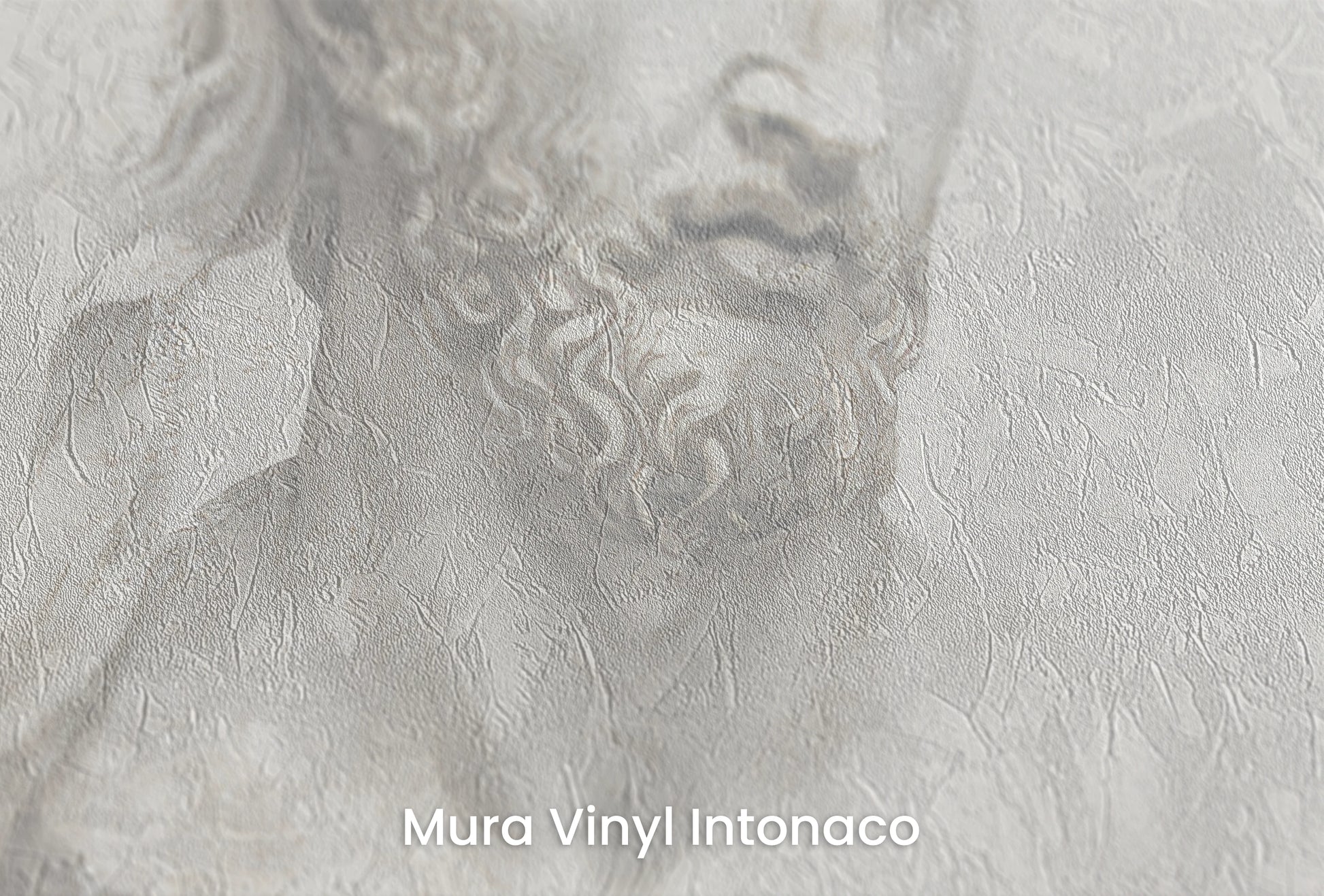 Zbliżenie na artystyczną fototapetę o nazwie Hera's Gaze na podłożu Mura Vinyl Intonaco - struktura tartego tynku.