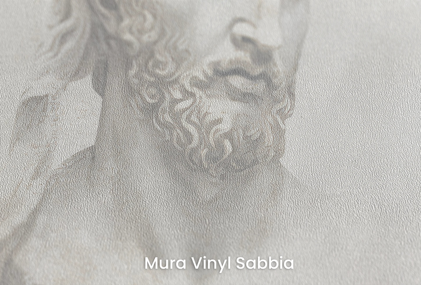 Zbliżenie na artystyczną fototapetę o nazwie Hera's Gaze na podłożu Mura Vinyl Sabbia struktura grubego ziarna piasku.