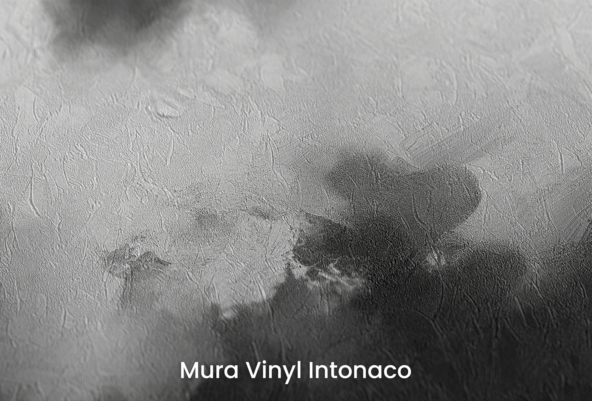 Zbliżenie na artystyczną fototapetę o nazwie Silver Lining na podłożu Mura Vinyl Intonaco - struktura tartego tynku.