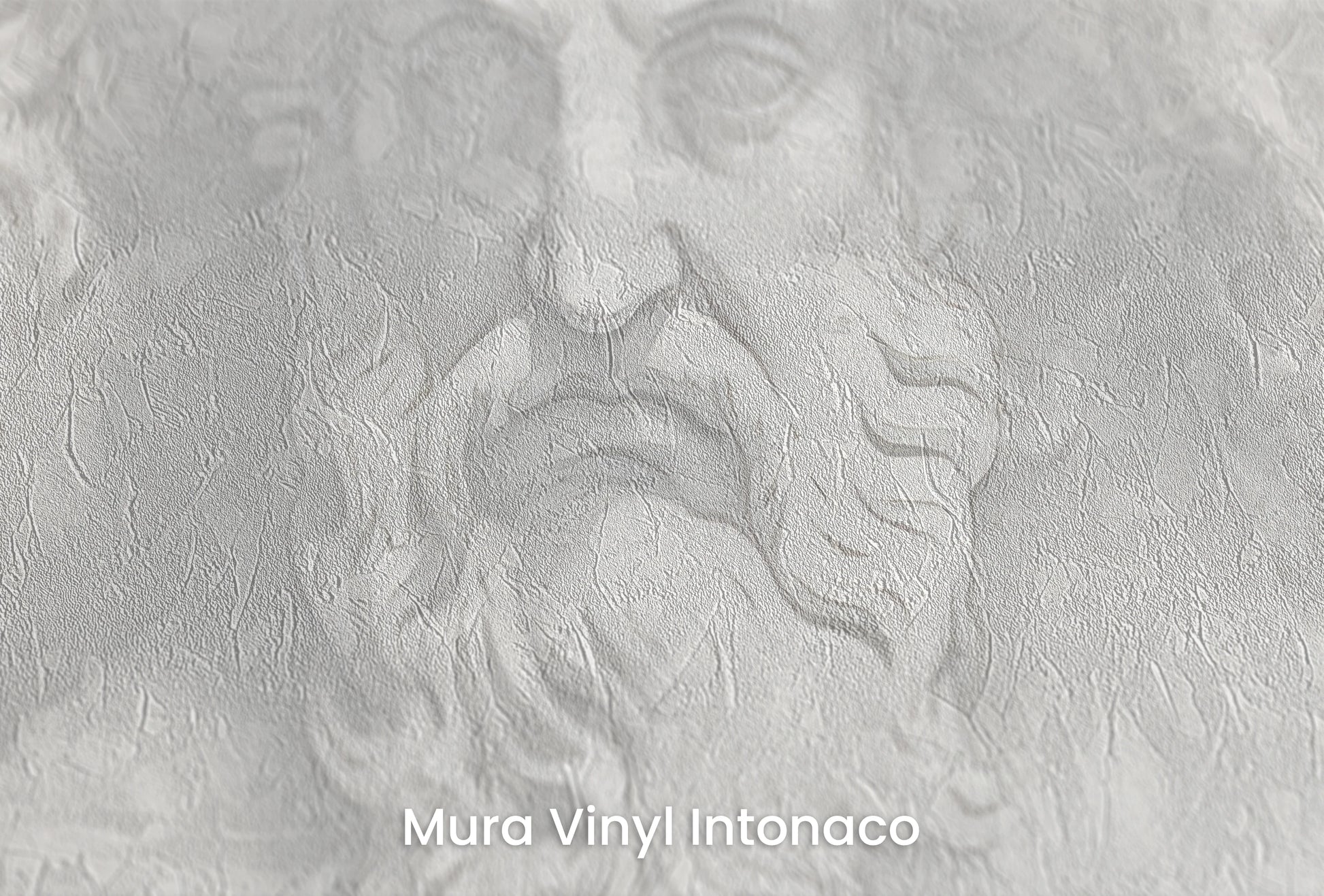 Zbliżenie na artystyczną fototapetę o nazwie Philosophers' Musings na podłożu Mura Vinyl Intonaco - struktura tartego tynku.