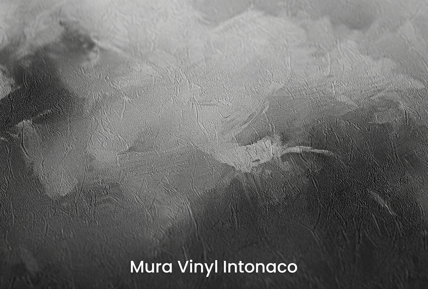 Zbliżenie na artystyczną fototapetę o nazwie Monochromatic Mood na podłożu Mura Vinyl Intonaco - struktura tartego tynku.