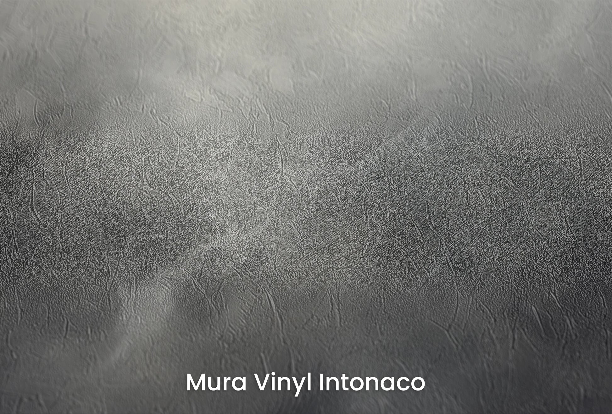 Zbliżenie na artystyczną fototapetę o nazwie Silver Storm na podłożu Mura Vinyl Intonaco - struktura tartego tynku.