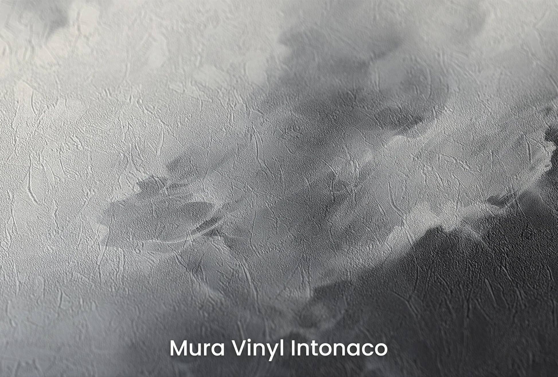 Zbliżenie na artystyczną fototapetę o nazwie Shadowplay na podłożu Mura Vinyl Intonaco - struktura tartego tynku.