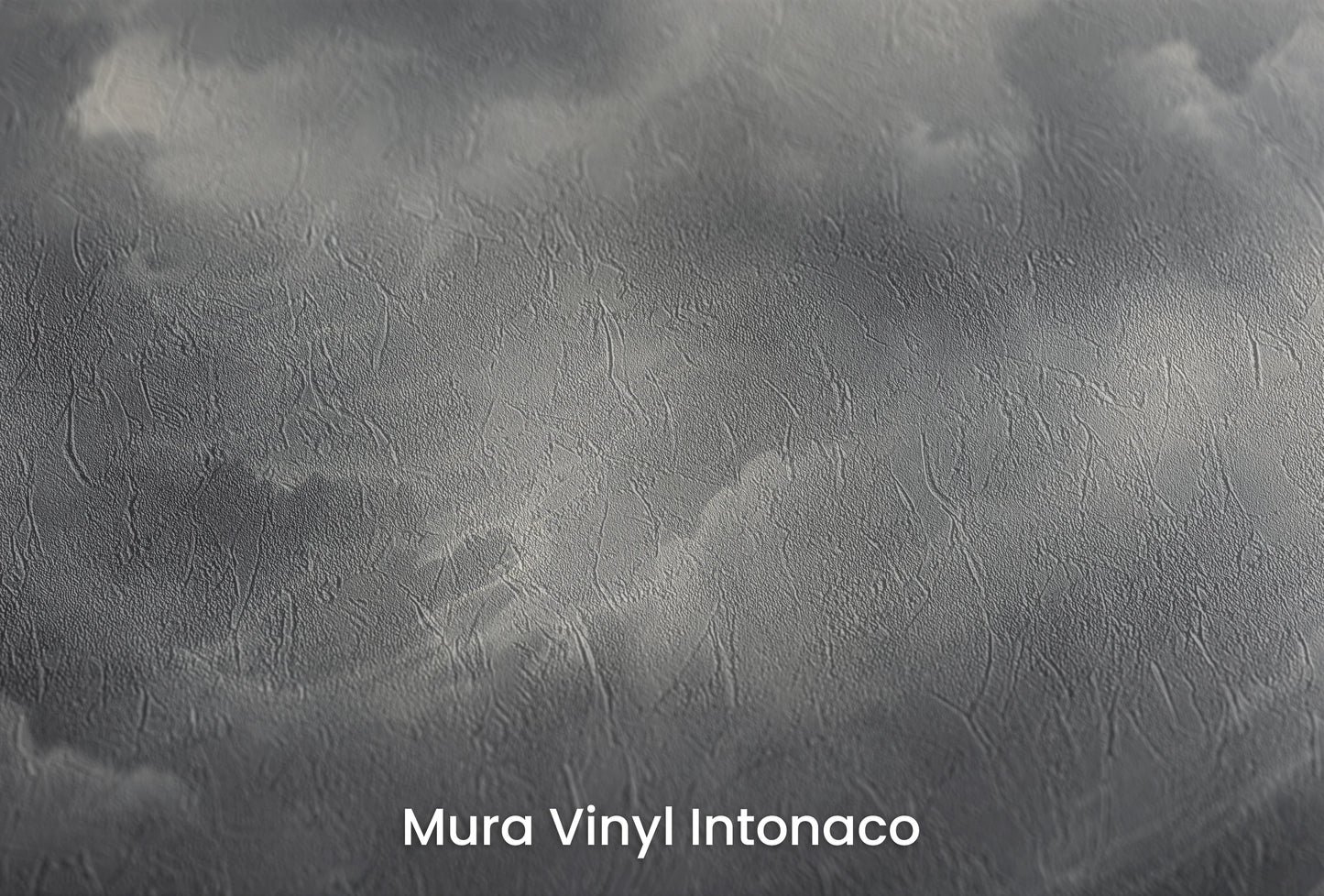 Zbliżenie na artystyczną fototapetę o nazwie Impending Gale na podłożu Mura Vinyl Intonaco - struktura tartego tynku.