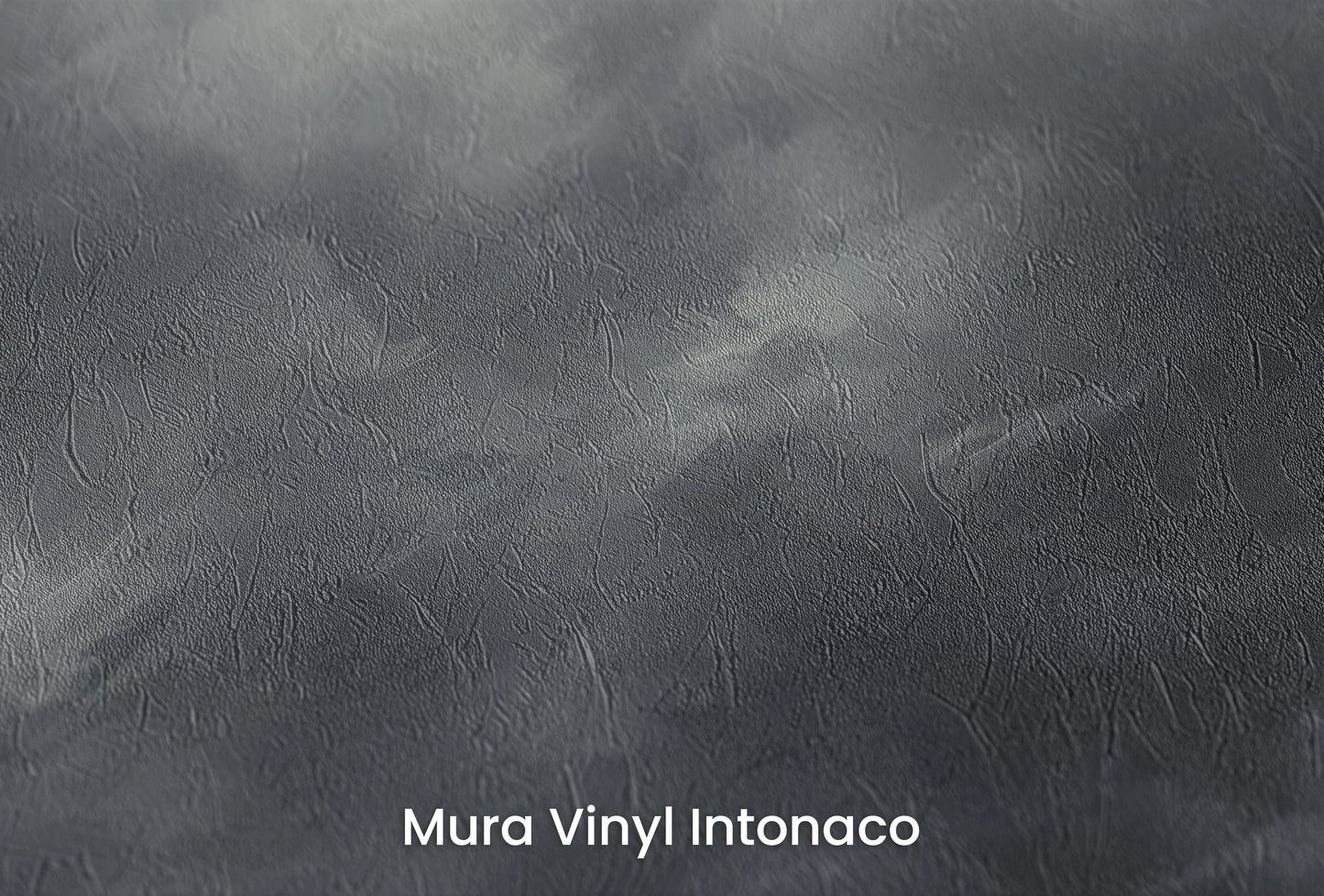 Zbliżenie na artystyczną fototapetę o nazwie Serene Monochrome na podłożu Mura Vinyl Intonaco - struktura tartego tynku.