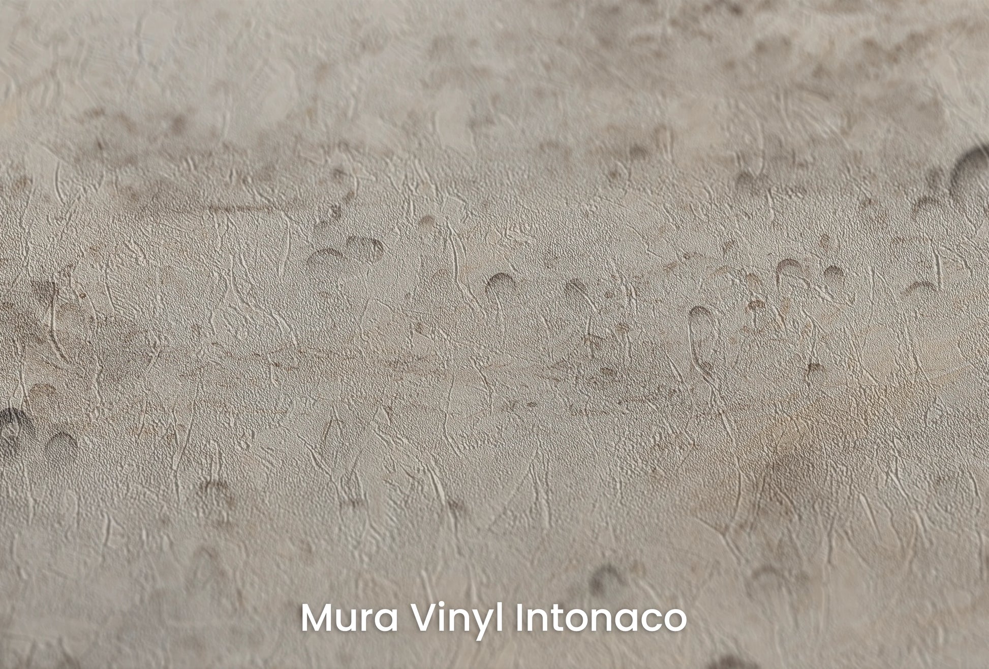 Zbliżenie na artystyczną fototapetę o nazwie Beige Moon na podłożu Mura Vinyl Intonaco - struktura tartego tynku.