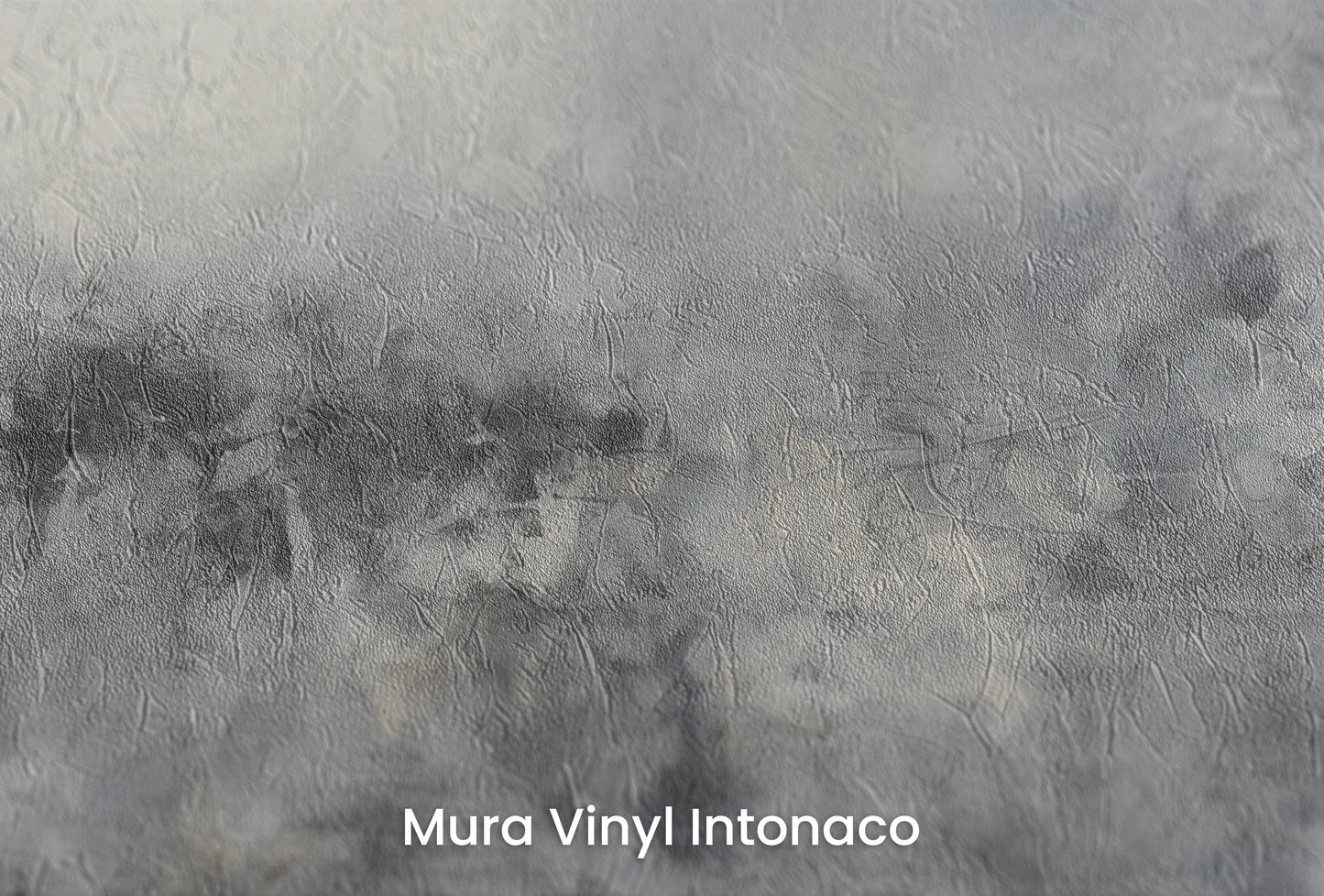 Zbliżenie na artystyczną fototapetę o nazwie Monochrome Mystery na podłożu Mura Vinyl Intonaco - struktura tartego tynku.