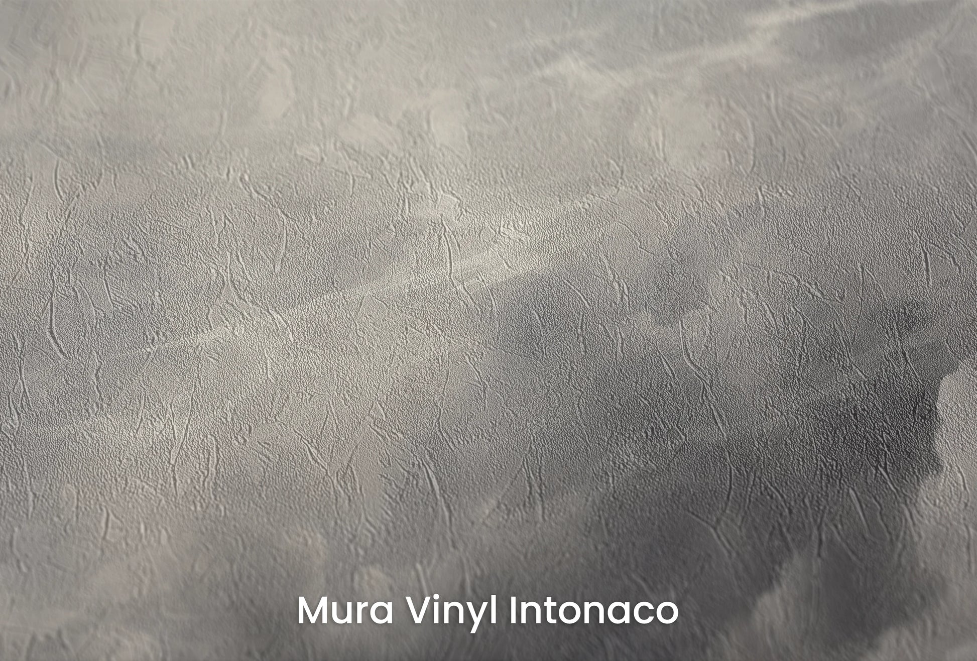 Zbliżenie na artystyczną fototapetę o nazwie Silver Lining Drama na podłożu Mura Vinyl Intonaco - struktura tartego tynku.