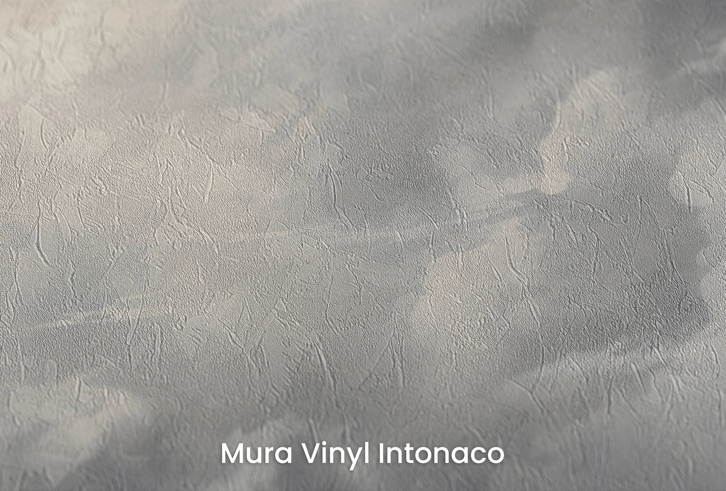 Zbliżenie na artystyczną fototapetę o nazwie Light Amidst Shadows na podłożu Mura Vinyl Intonaco - struktura tartego tynku.