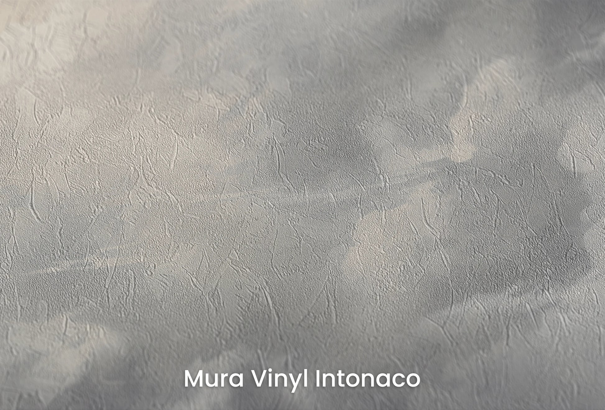 Zbliżenie na artystyczną fototapetę o nazwie Light Amidst Shadows na podłożu Mura Vinyl Intonaco - struktura tartego tynku.