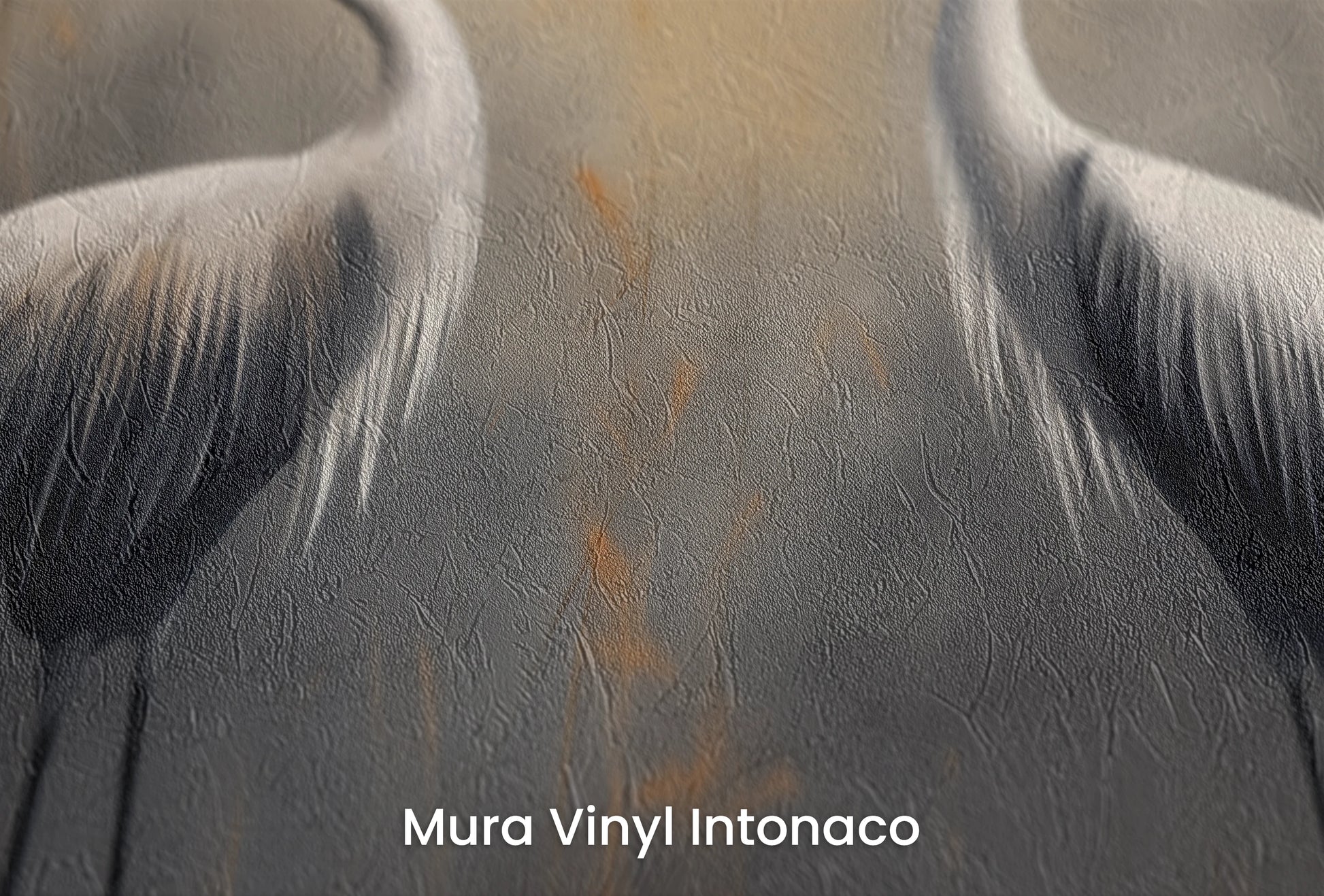 Zbliżenie na artystyczną fototapetę o nazwie Solemn Duet na podłożu Mura Vinyl Intonaco - struktura tartego tynku.