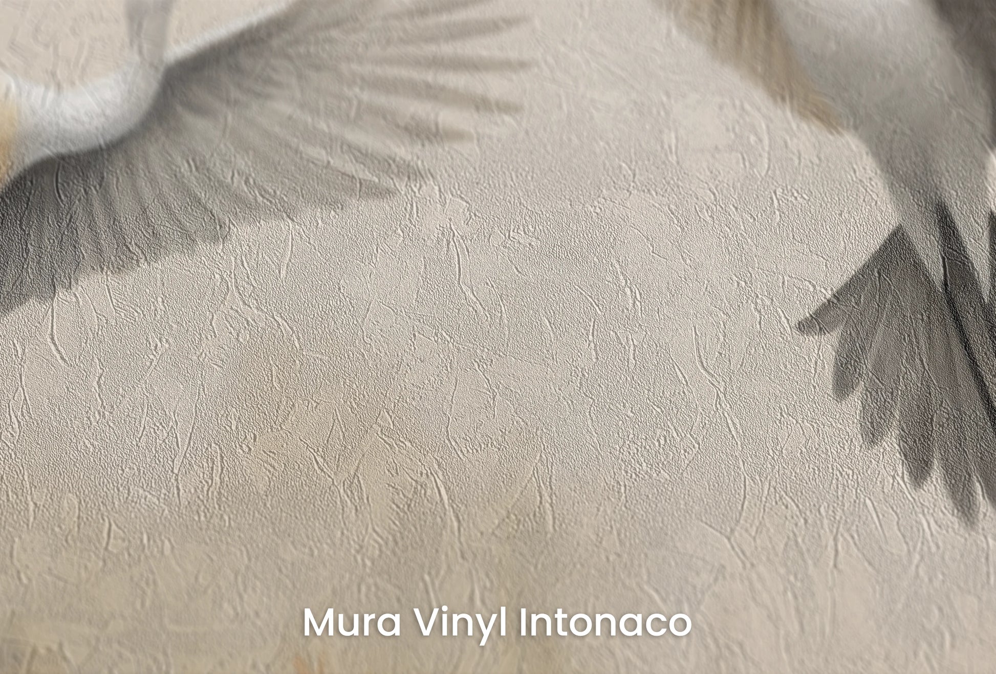 Zbliżenie na artystyczną fototapetę o nazwie Wings of Serenity na podłożu Mura Vinyl Intonaco - struktura tartego tynku.