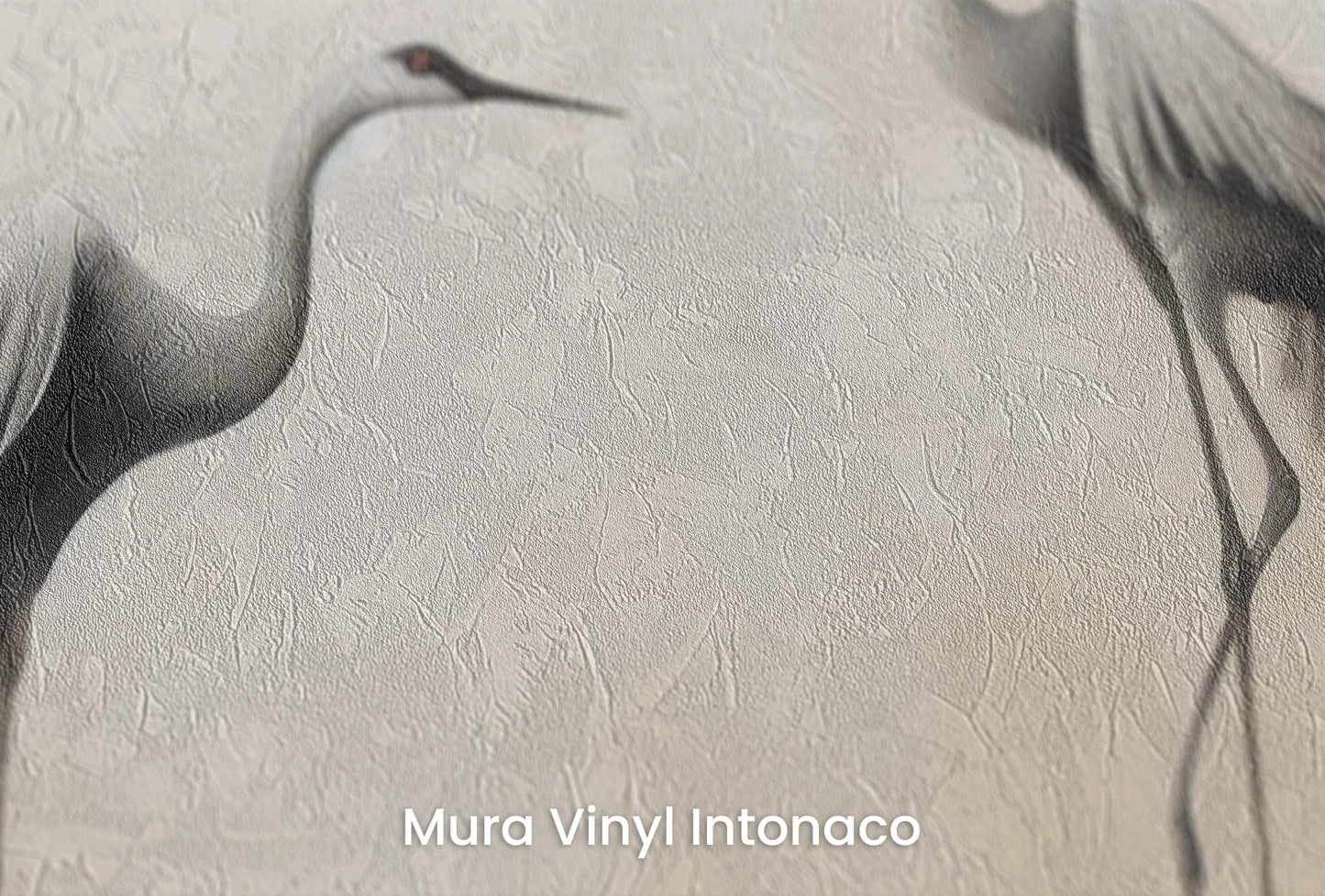 Zbliżenie na artystyczną fototapetę o nazwie Lunar Dance na podłożu Mura Vinyl Intonaco - struktura tartego tynku.