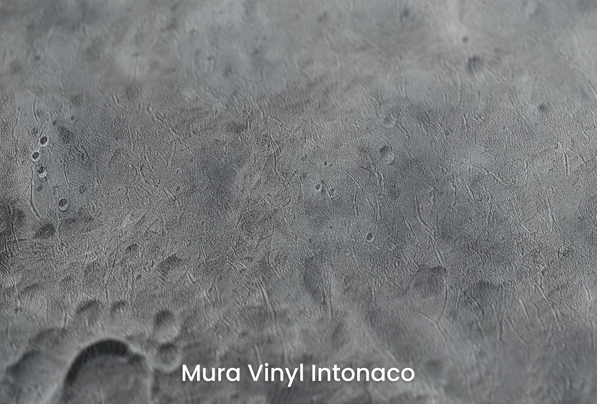 Zbliżenie na artystyczną fototapetę o nazwie Arctic Neptune na podłożu Mura Vinyl Intonaco - struktura tartego tynku.