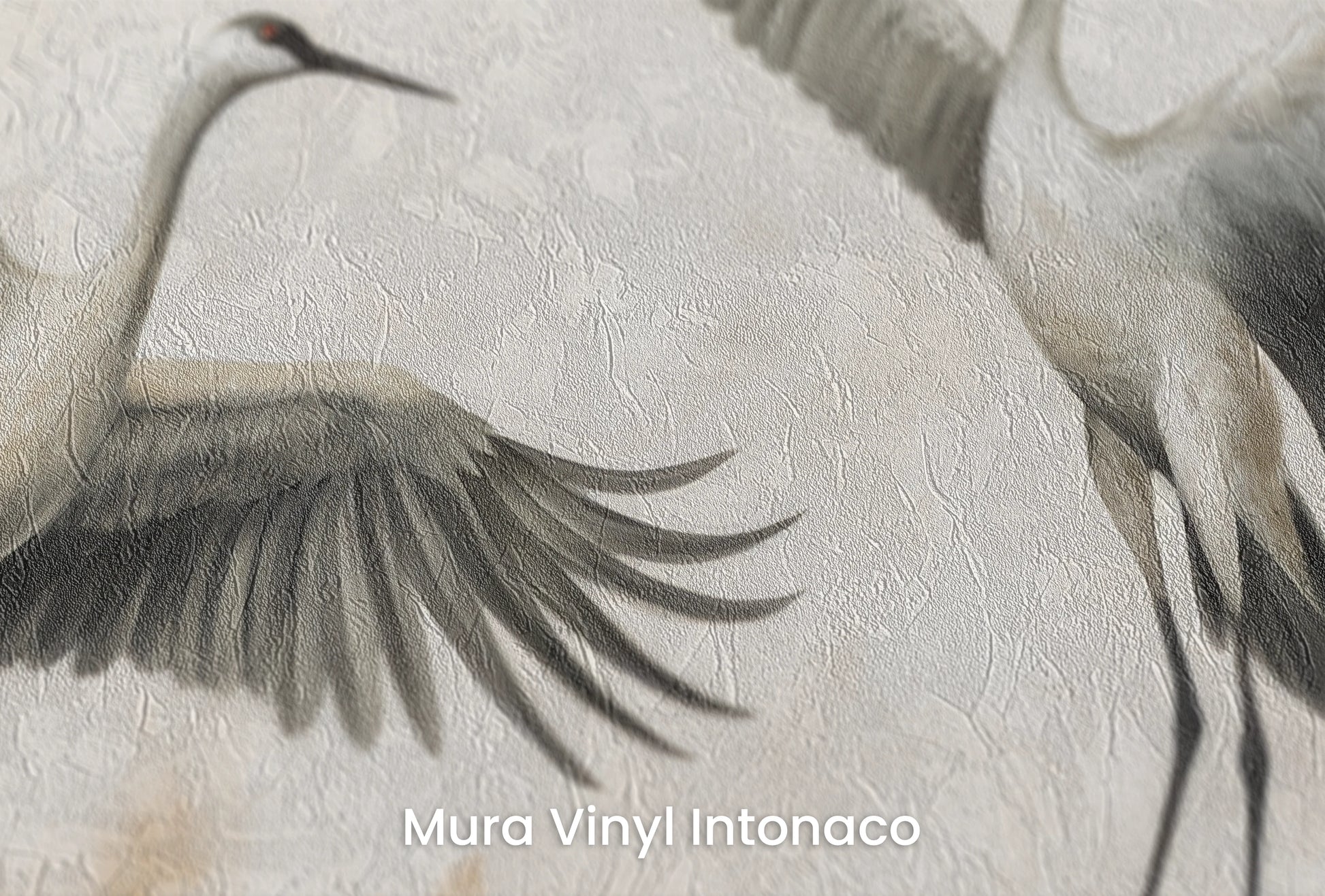 Zbliżenie na artystyczną fototapetę o nazwie Symphony of Wings na podłożu Mura Vinyl Intonaco - struktura tartego tynku.