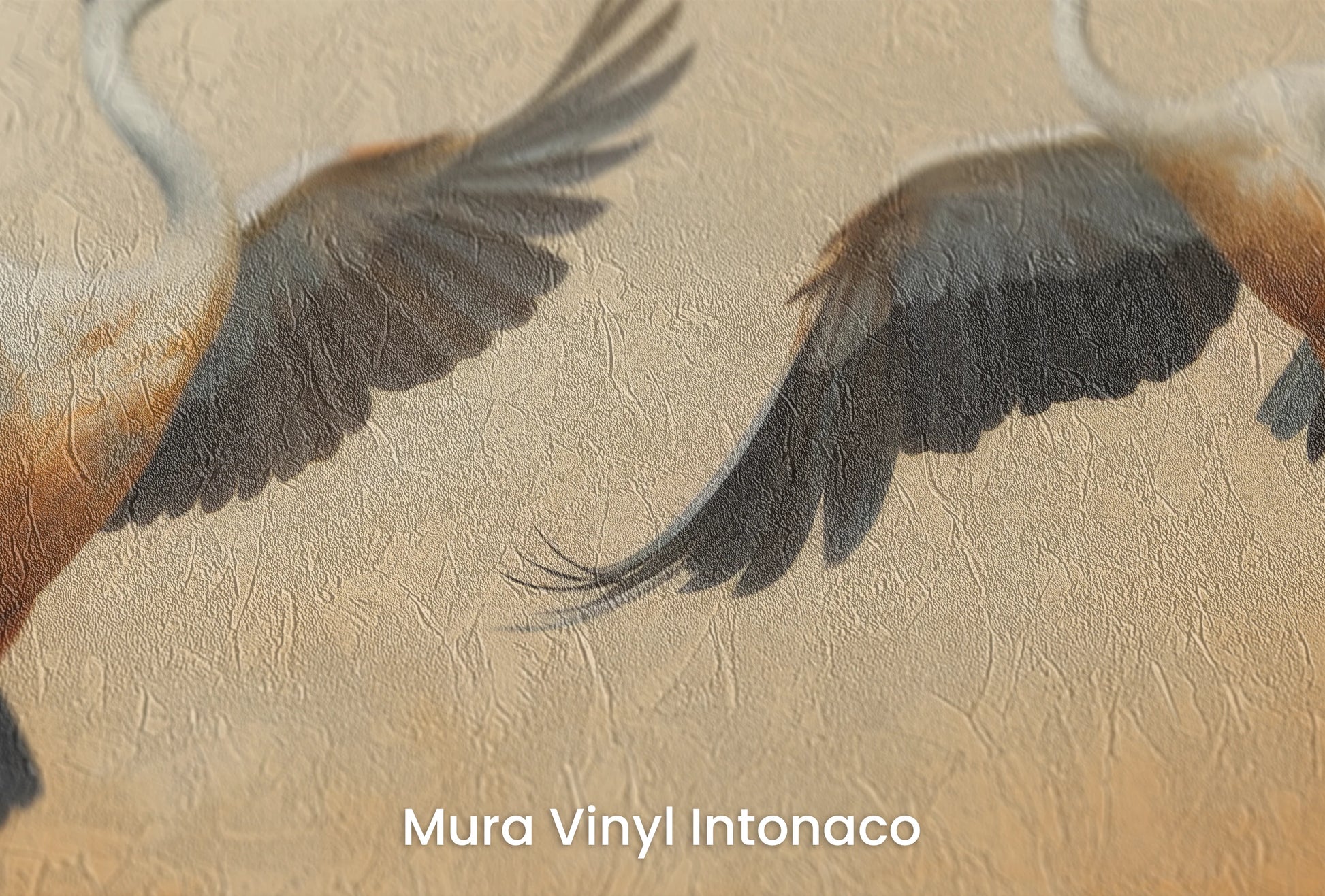 Zbliżenie na artystyczną fototapetę o nazwie Sunset Soar na podłożu Mura Vinyl Intonaco - struktura tartego tynku.