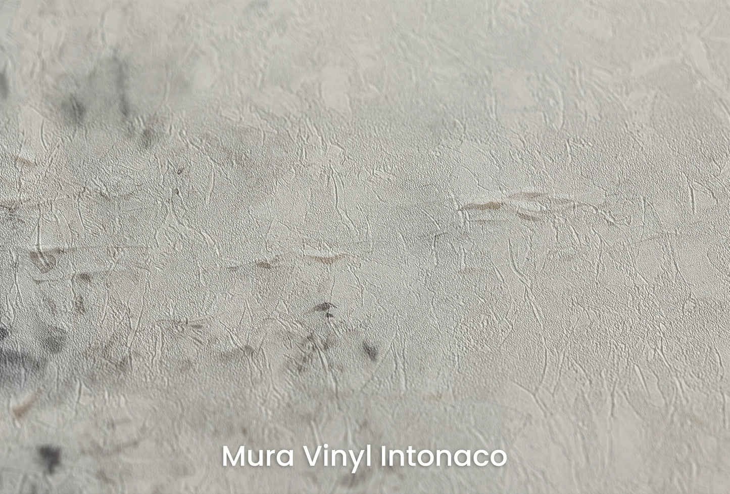 Zbliżenie na artystyczną fototapetę o nazwie Jupiter's Watch na podłożu Mura Vinyl Intonaco - struktura tartego tynku.